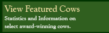 Featured Cows