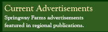 Current Ads